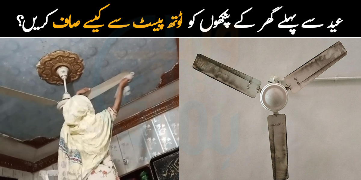 عید سے پہلے گھر کے کالے پنکھوں کو ٹوتھ پیسٹ سے کیسے صاف کریں؟ جانیے ایسے آسان اور آزمودہ طریقے جو آپ کے پنکھوں کو بھی چمکا دیں گے