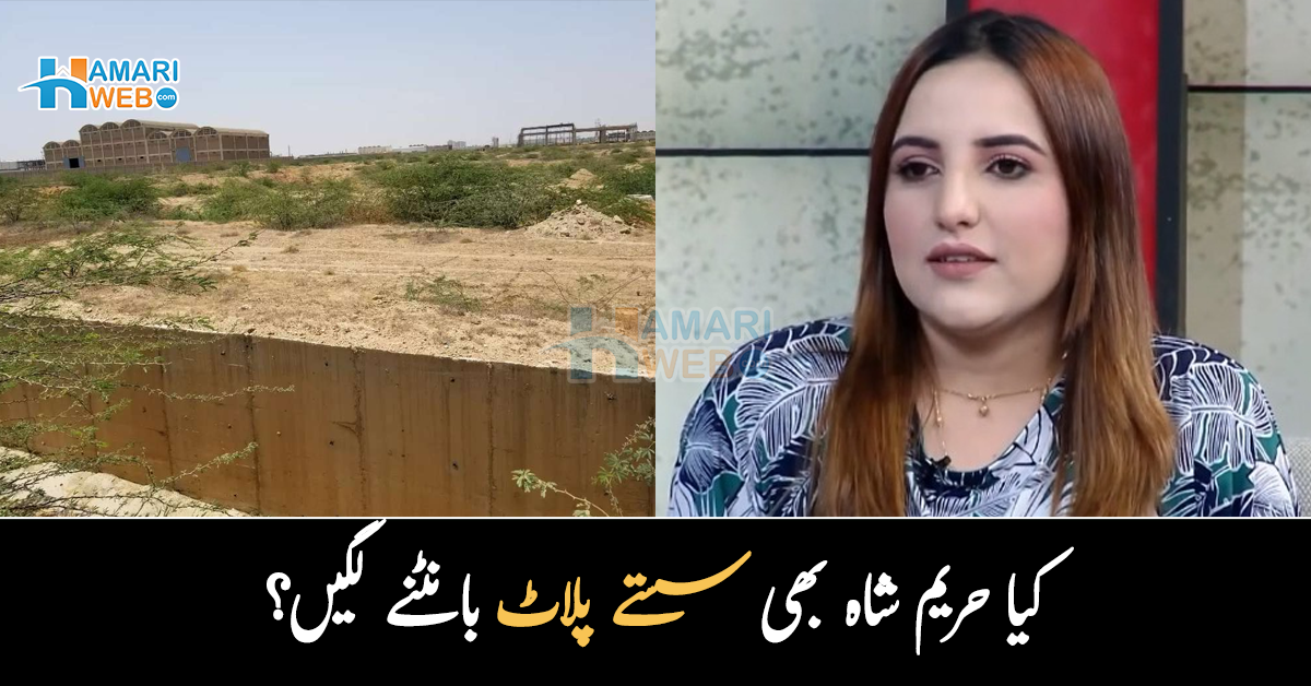 کس کس کو سستے پلاٹ چاہئیں؟ کیا حریم شاہ سستے پلاٹ بانٹنے لگیں، سوشل میڈیا صارفین کے دلچسپ تبصرے