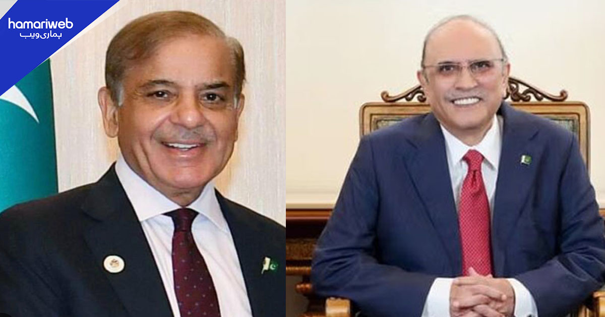 صدر مملکت آصف زرداری اور وزیراعظم شہباز شریف کا لبنان میں جنگ بندی کا خیرمقدم