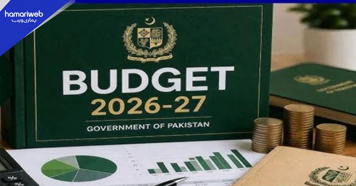 نئے مالی سال کا بجٹ: فوڈ سیکیورٹی اور صنعت کے لیے صرف 7.2 ارب مختص کرنے کی تجویز