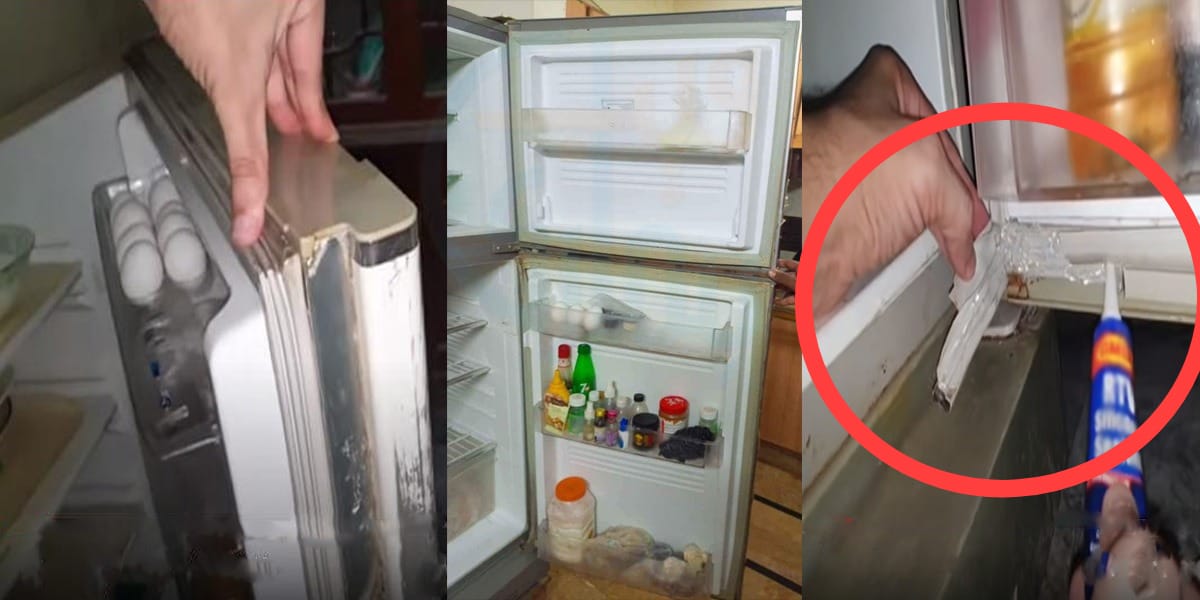 فریج کا ربر خراب ہوگیا ہے جس سے کولنگ نہیں ہوتی.. تو اب بتائے گئے طریقے سے گھر میں صرف 100 روپے  میں فریج خود ٹھیک کریں اور ہزاروں روپے بچائیں