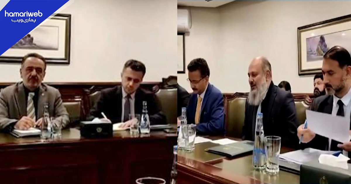 پاکستان اور ترکیہ کے درمیان چاول کی تجارت کے فروغ پر اتفاق