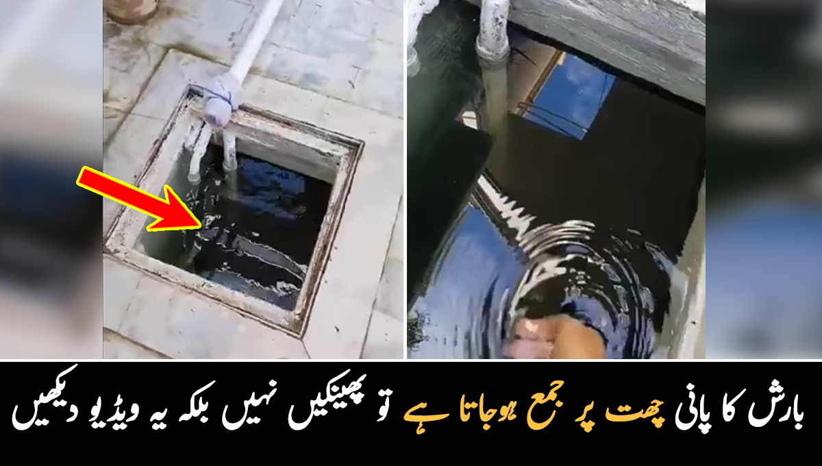 بارش کا پانی چھتوں پر جمع ہوجاتا ہے تو اسے پھینکیں نہیں بلکہ ۔۔ بارش کے پانی کو محفوظ کرکے اسے استعمال کرنے کا آسان طریقہ