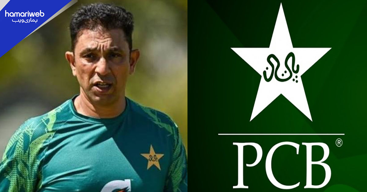 پی سی بی نے ٹیسٹ ٹیم کے ہیڈ کوچ اظہر محمود کو فارغ کر دیا