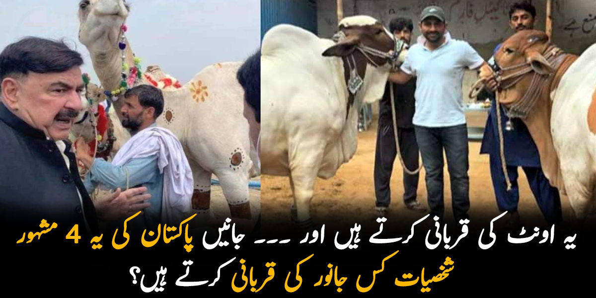 یہ اونٹ کی قربانی کرتے ہیں اور ۔۔۔ جانیں پاکستان کی یہ 4 مشہور شخصیات کس جانور کی قربانی کرتے ہیں؟