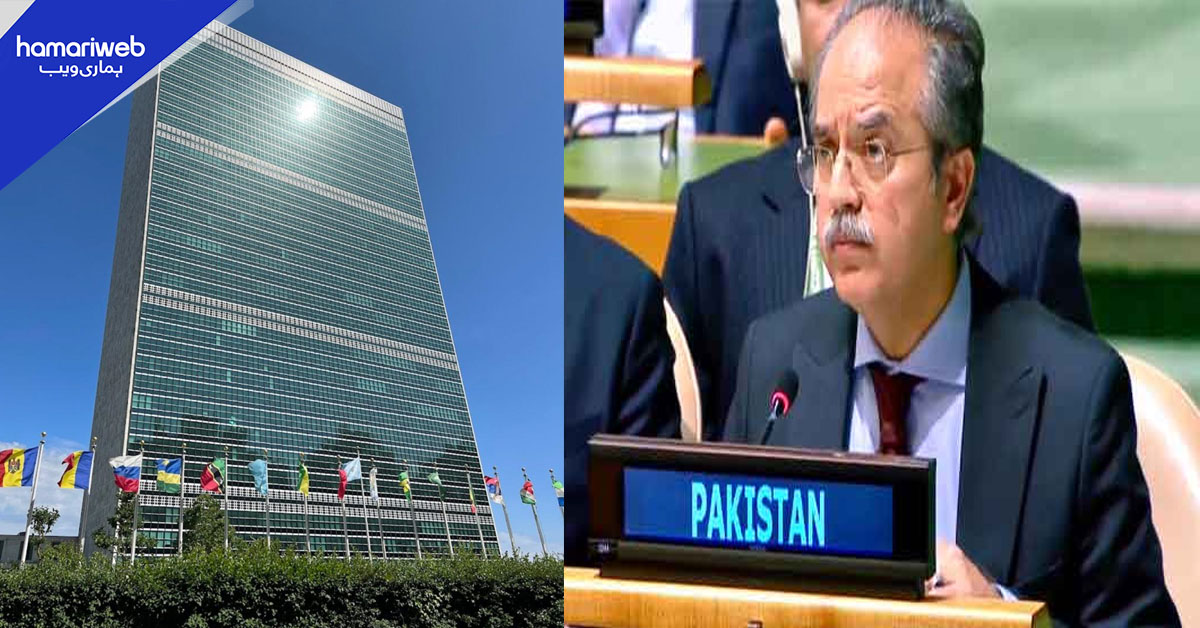 افغانستان میں دہشت گردوں کی بڑھتی ہوئی اسلحہ رسائی خطے کے امن کے لیے خطرہ ہے، پاکستان