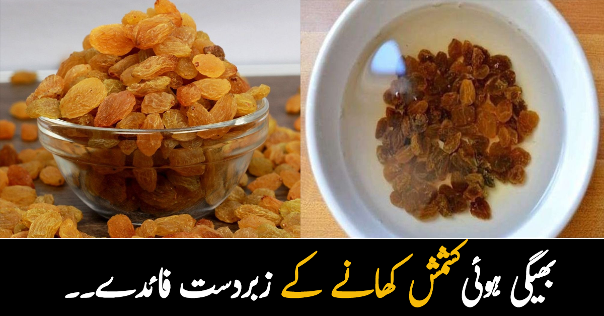 کشمش کو کھانے سے پہلے پانی میں بھگو دیں اور۔۔ بھیگی ہوئی کشمش کھانے سے کیا ہوتا ہے؟ ڈاکٹر نے بتائے زبردست فائدے 