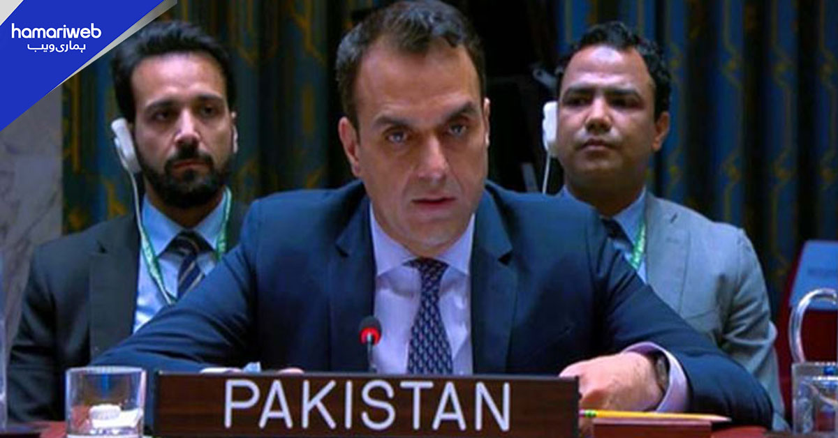 فلسطینیوں کی کسی بھی بے دخلی کی کوشش ناقابلِ قبول ہے، پاکستان کا سلامتی کونسل میں دوٹوک مؤقف