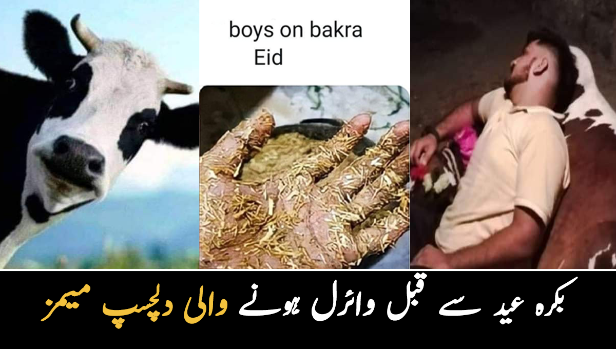 قصائی انکل ذرا آرام سے ذبح کیجیے گا کہیں گائے مر نہ جائے ۔۔ بکرہ عید سے قبل مشہور ہونے والی  وائرل اور دلچسپ میمز