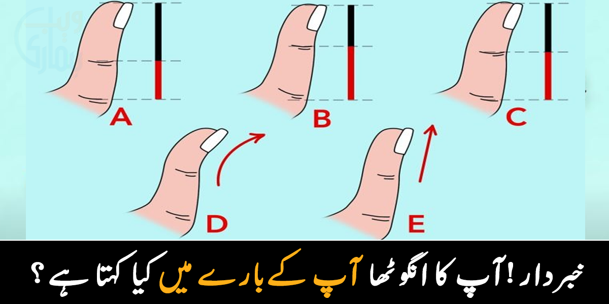 آپ کا انگوٹھا ان میں سے کس شکل کا ہے ۔۔ سیدھے انگوٹھے والے ہو جائیں خبردار، جانیے آپ کی شخصیت کے بارے میں کون سے راز بتاتے ہیں