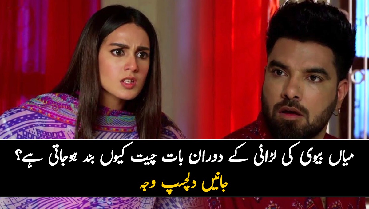 میاں بیوی کی لڑائی کے دوران بات چیت کیوں بند ہوجاتی ہے؟ جانیں دلچسپ وجہ