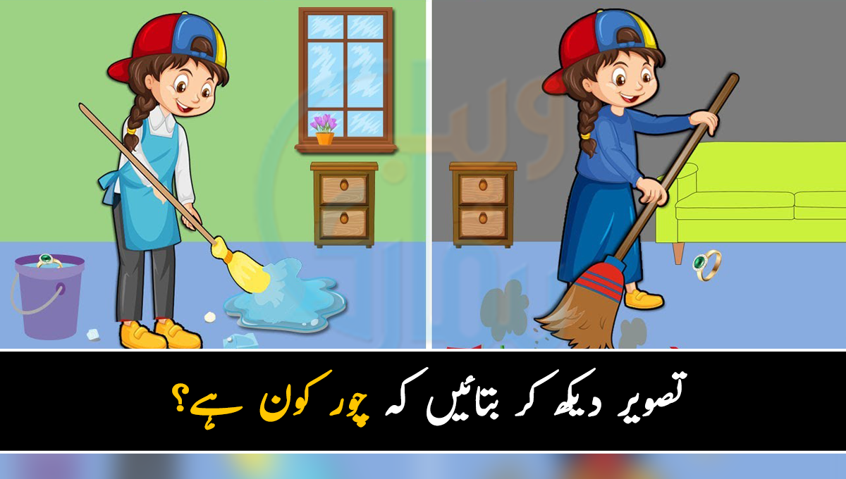 تصویر دیکھ کر بتائیں کہ چور کون ہے؟ تیز آنکھوں اور دماغ والے لوگ بھی اس تصویر میں بمشکل چور تلاش کرسکیں گے