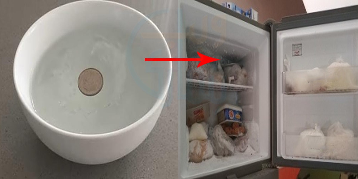 گرمی میں فریزر میں سکہ رکھنے سے کیا فائدہ ہوتا ہے؟ جان لیا تو آپ بھی  سکہ رکھنا شروع کر دیں گے