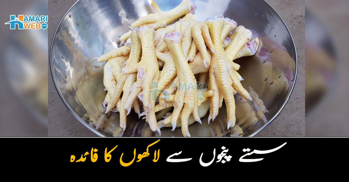 مرغی کے پنجے کھانے سے کون سی خطرناک بیماریاں کم ہوسکتی ہے؟ سستے پنجوں سے لاکھوں کا فائدہ 