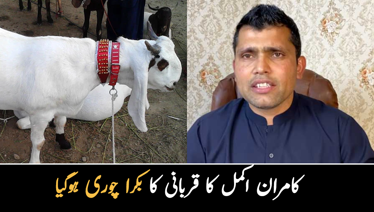 کامران اکمل کا قربانی کے لیے لایا ہوا بکرا چوری ہوگیا 
