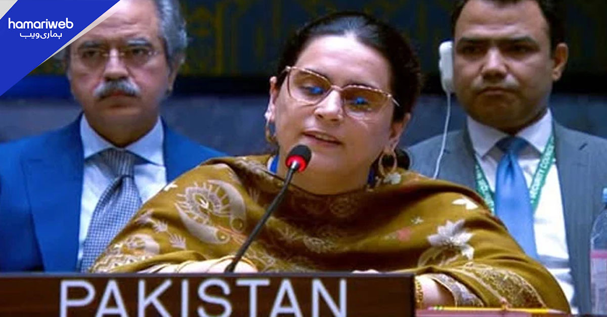 جموں و کشمیر نہ تو بھارت کا اٹوٹ انگ ہے اور نہ ہی یہ اس کا داخلی معاملہ ہے، پاکستان