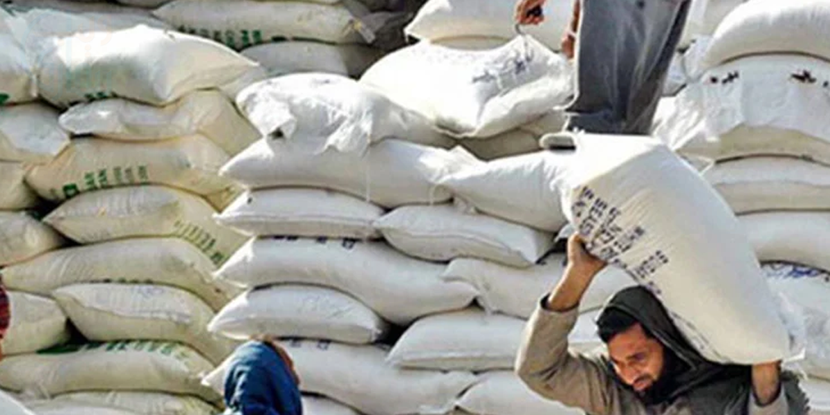 خیبرپختونخوا میں 'شہباز سپیڈ' سے سستے آٹے کی عوام کو فراہمی شروع کر دی گئی 