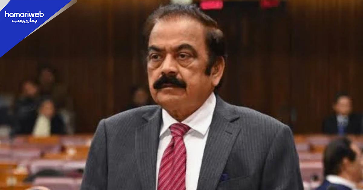 پی ٹی آئی اور اڈیالہ تحریک انصاف جلد علیحدہ ہوجائیں گی، رانا ثناء اللہ