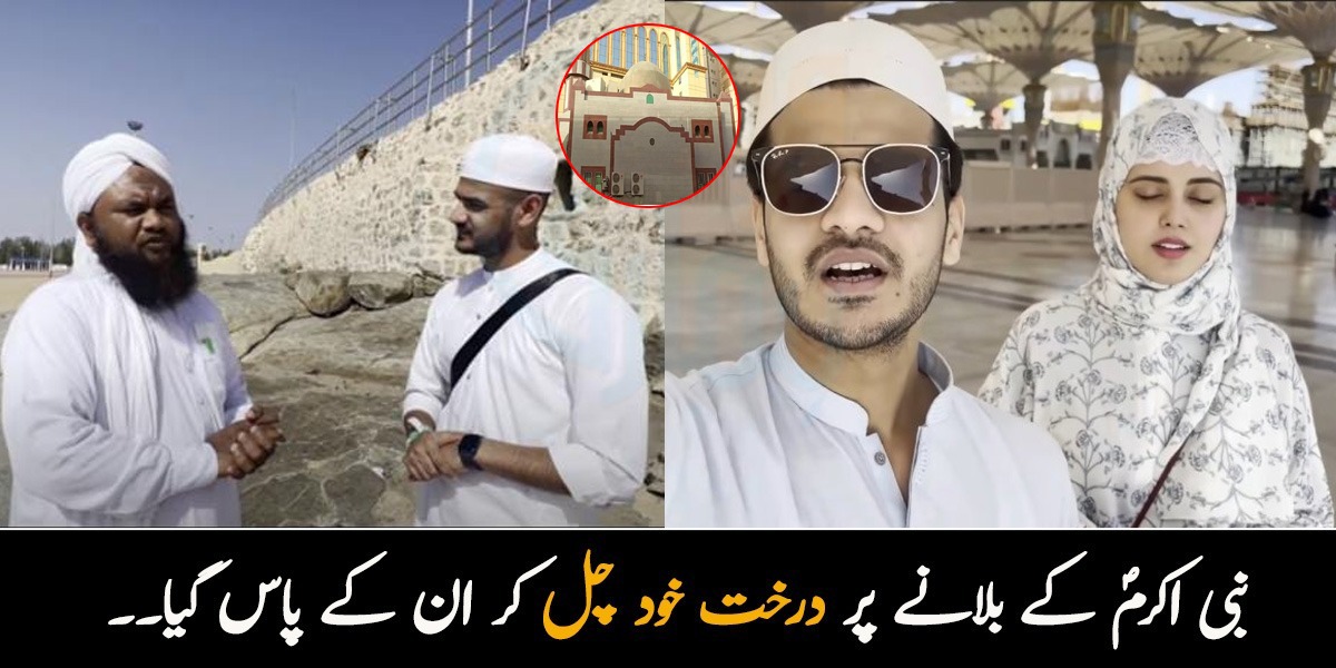  نبی کریم ﷺ  کے بلانے پر درخت خود چل کر ان کے پاس گیا! شیطان کو مارنے والی کنکریاں کہاں سے آتی ہیں؟ ذوالقرنین سکندر مقدس مقامات کی زیارت کرواتے ہوئے