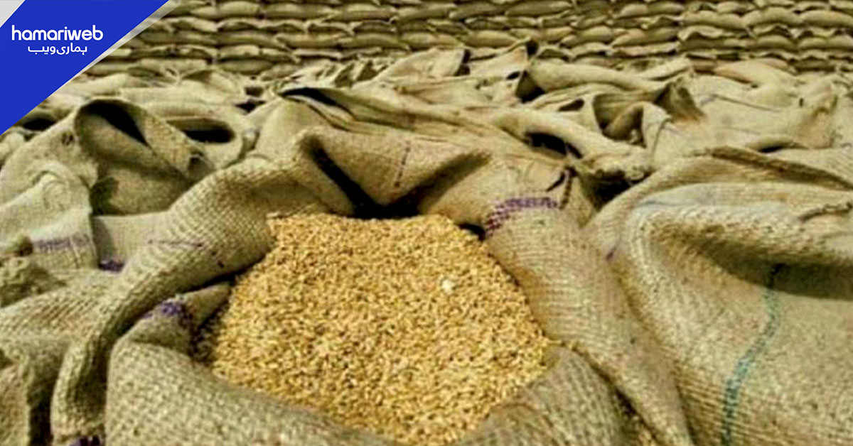 حکومت کا 10 لاکھ ٹن گندم درآمد کرنے کا فیصلہ