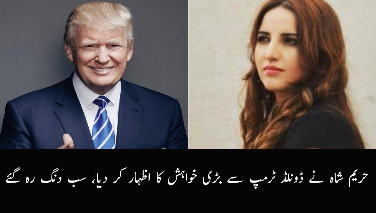 حریم شاہ نے ڈونلڈ ٹرمپ سے بڑی خواہش کا اظہار کر دیا، سب دنگ رہ گئے