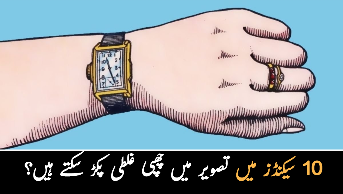 10 سیکنڈز میں تصویر میں چھپی غلطی پکڑ سکتے ہیں؟ صرف پانچ فیصد لوگ ہی درست جواب دے پاتے ہیں