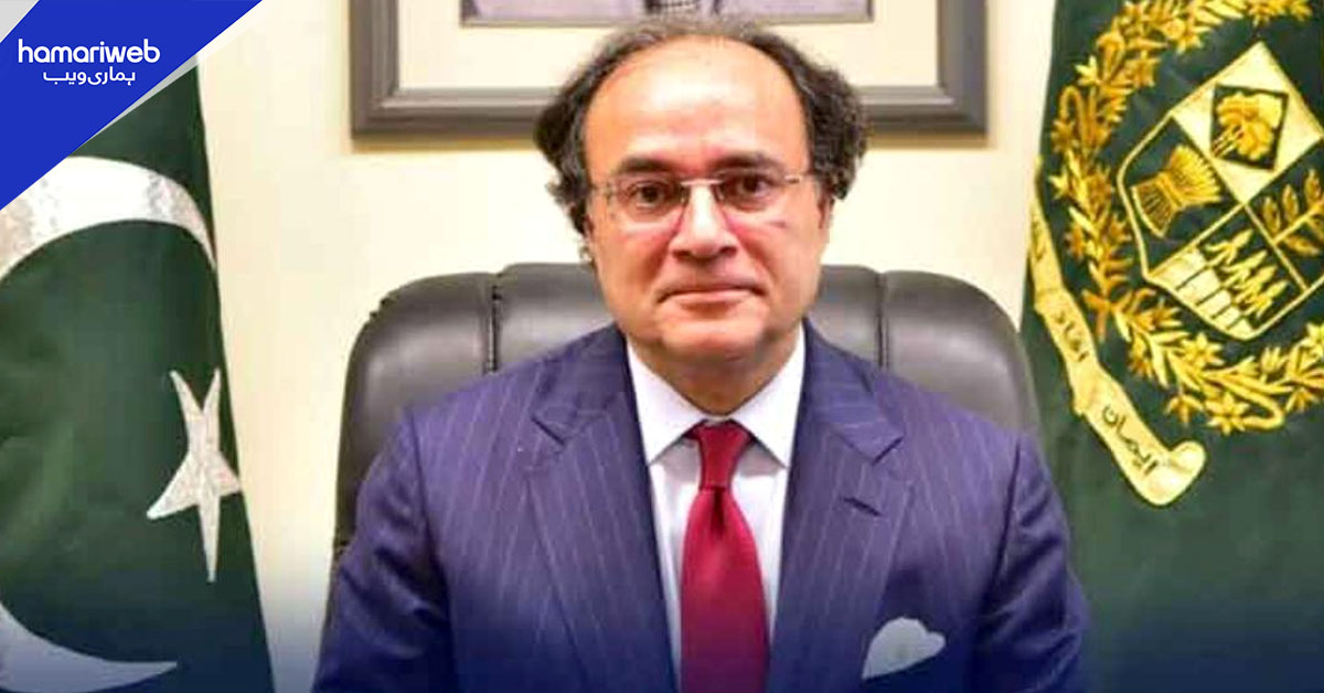 مزید مالی معاونت لینے کا ارادہ نہیں، آئندہ کا فوکس کمرشل فنانسنگ پر ہوگا، وزیر خزانہ 
