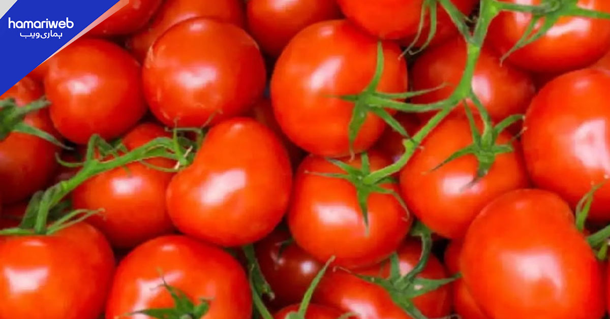 کراچی کے بازار میں ٹماٹر کی قیمتیں 90 فیصد کم،  نئی قیمت کیا ہو گئی؟