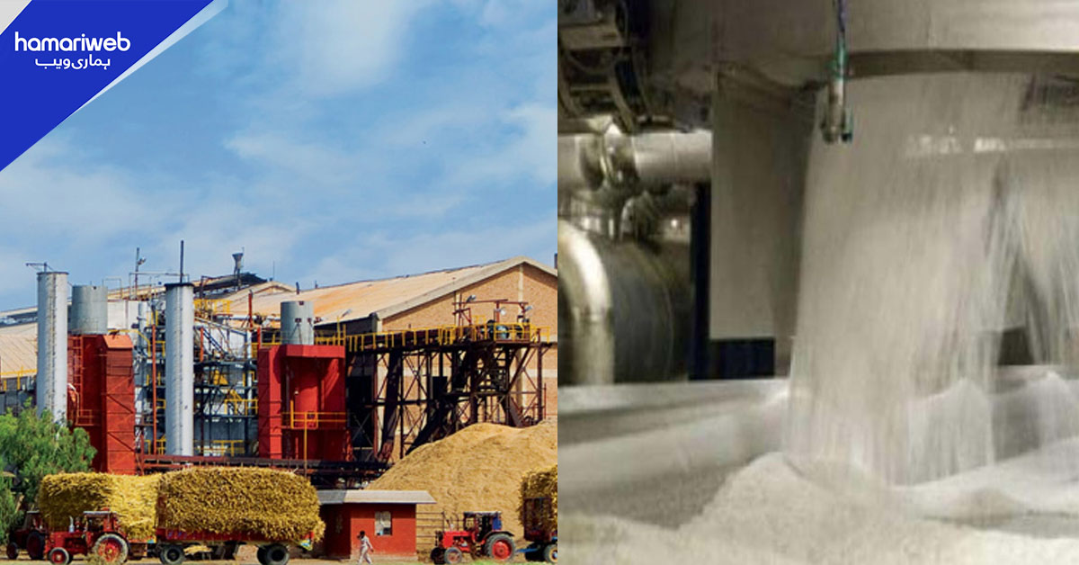 حکومتِ پنجاب کی وارننگ کا اثر، 27 شوگر ملز میں کرشنگ کا آغاز