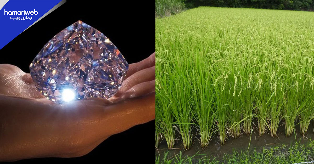 بھارت میں بچپن کے دو دوستوں کو کھیت میں کام کے دوران قیمتی ہیرا مل گیا