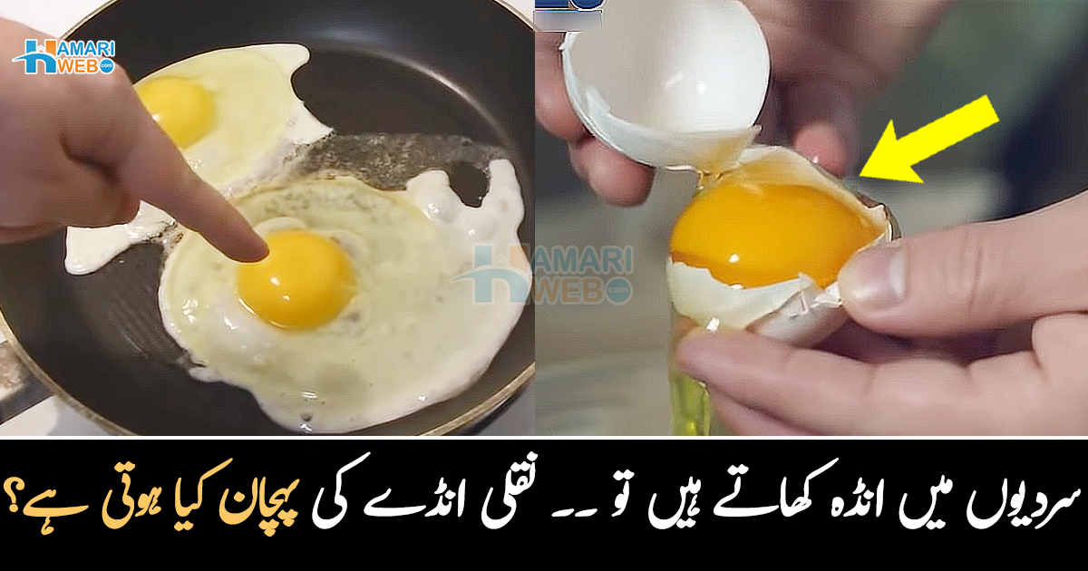 کہیں آپ بھی سردیوں میں جعلی انڈے تو نہیں کھا رہے ؟ اصلی اور نقلی انڈے کی پہچان سمجھ لیں تاکہ آج ہی دکاندار کی چالاکی سے بچ سکیں