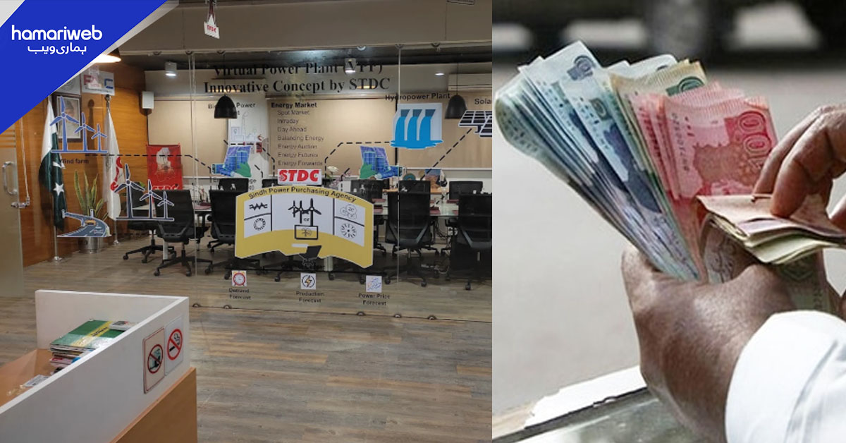 سندھ ٹرانسمیشن اینڈ ڈسپیچ کمپنی کا پہلی بار شیئر ہولڈرز کے لیے عبوری منافع کا اعلان