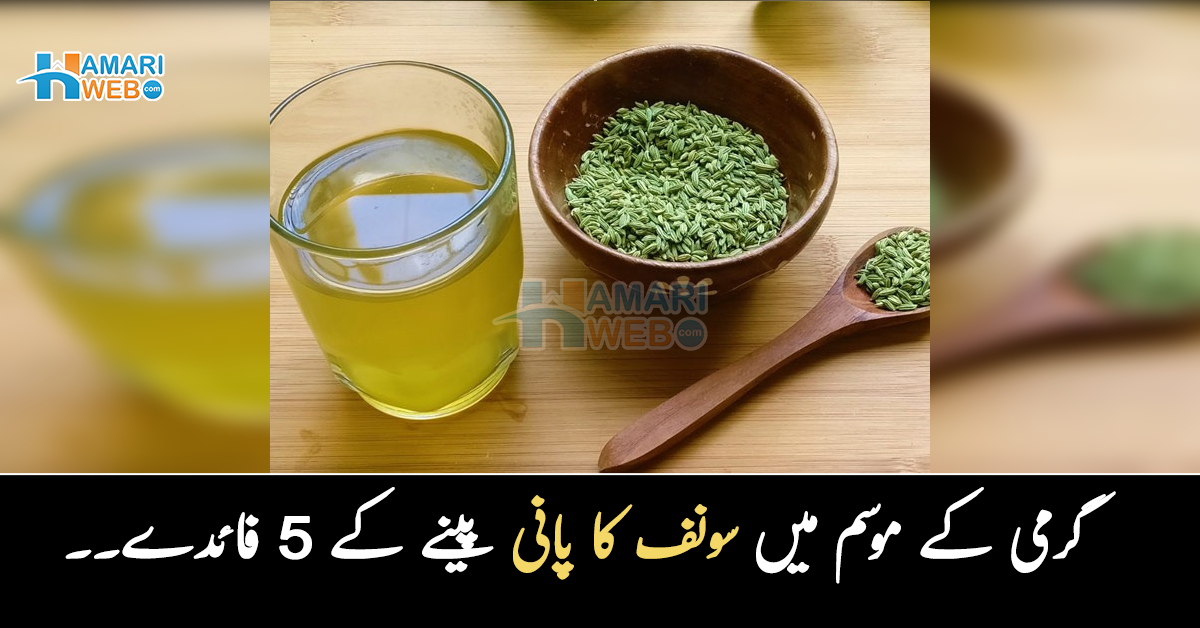 جسم کی گرمی دور کرتا ہے اور۔۔ شدید گرمی کے موسم میں سونف کا پانی کیوں پینا چاہیے؟ 5 فائدے جو آپ کی مشکل آسان کردیں