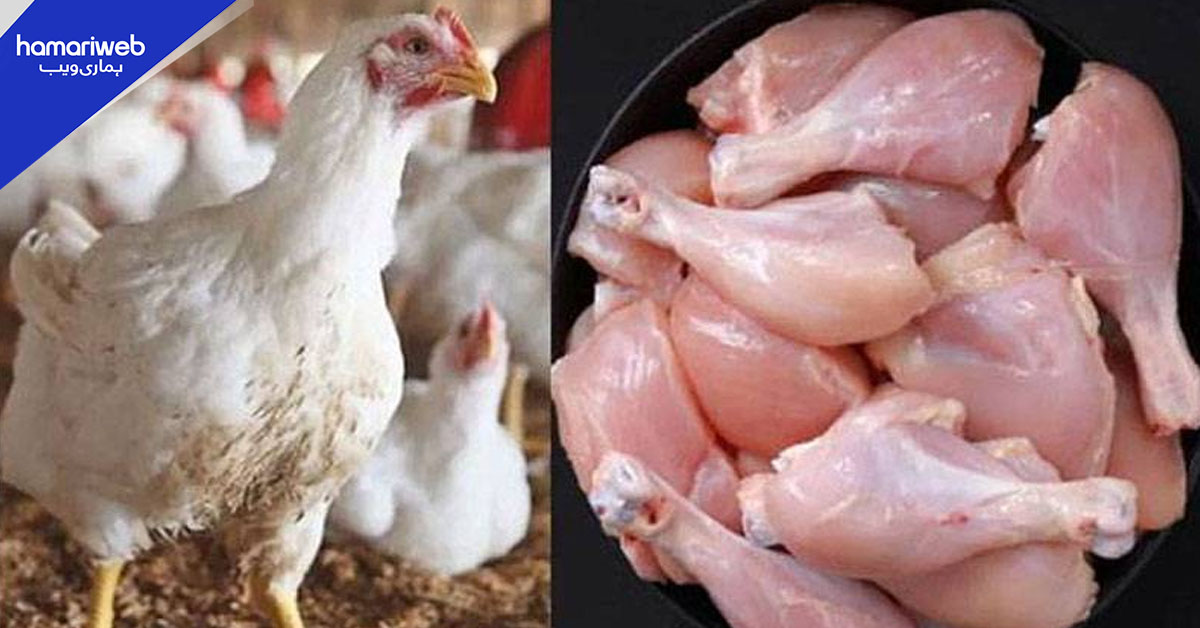 کراچی میں مرغی کا گوشت مہنگا، سرکاری ریٹ سے زائد قیمت پر فروخت
