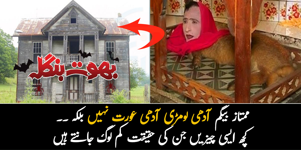 ممتاز بیگم آدھی لومڑی آدھی عورت نہیں بلکہ ۔۔ جانیئے کچھ ایسی چیزیں جن کی حقیقت بہت کم لوگ جانتے ہیں