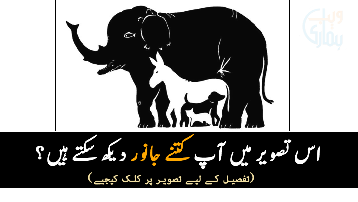اس تصویر میں آپ کتنے جانور دیکھ سکتے ہیں؟ آپ کا جواب آپ کی ذہانت اور شخصیت کے بارے میں کیا بتاتا ہے؟