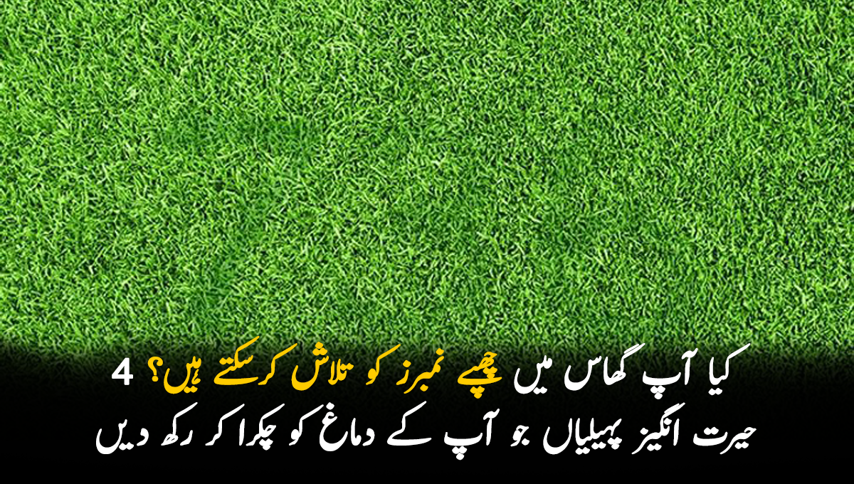 کیا آپ گھاس میں چھپے نمبرز کو تلاش کرسکتے ہیں؟ 4 حیرت انگیز پہیلیاں جو آپ کے دماغ کو چکرا کر رکھ دیں