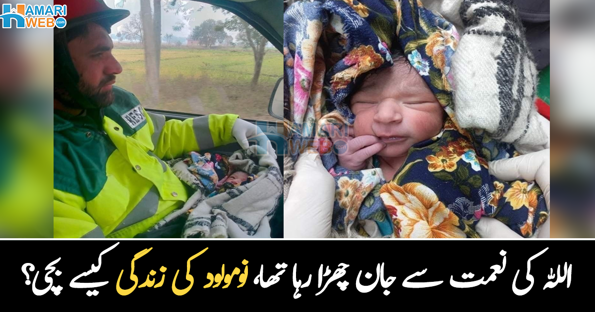 سخت سردی میں بچے کو کچرے میں پھینک گئے ۔۔ بے حس والدین تو بچے کو چھوڑ گئے، نومولود بچے کے ساتھ کیا ہوا؟ دیکھیے