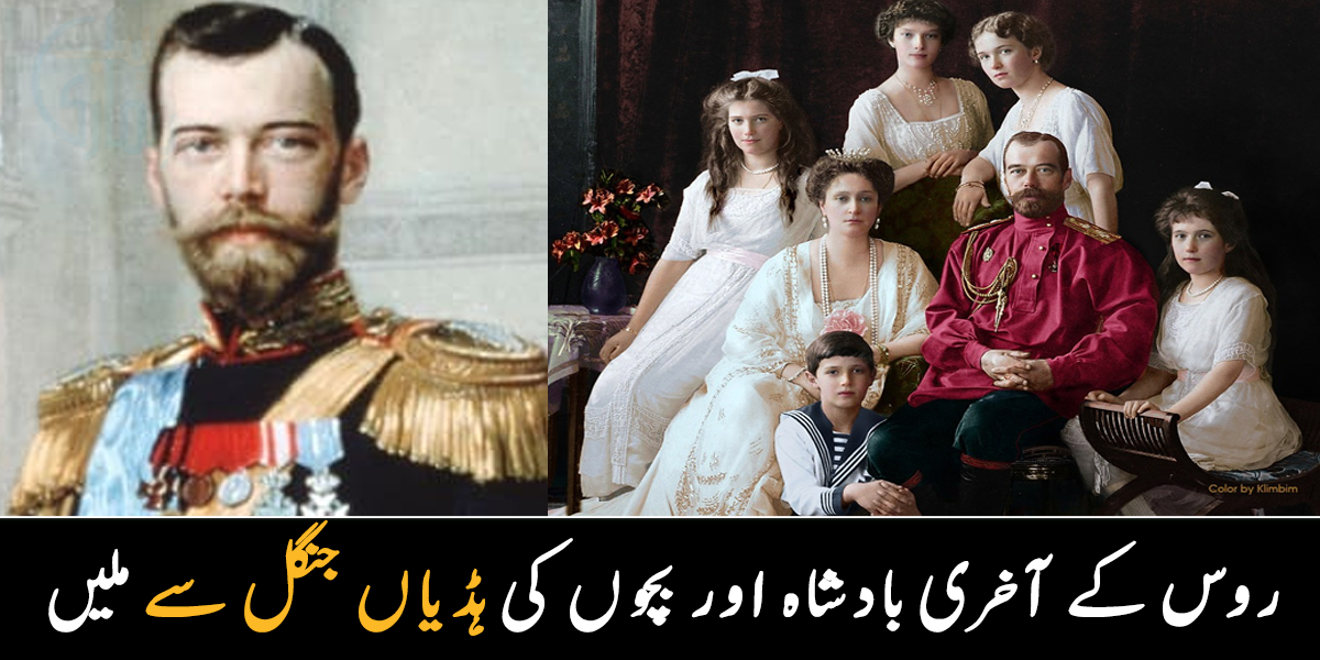 جنگل سے ملنے والی ہڈیاں روسی شاہی خاندان کی تھیں ۔۔ روس کے آخری بدقسمت بادشاہ کے بچوں کی ہڈیاں جنگل سے کیوں ملیں؟