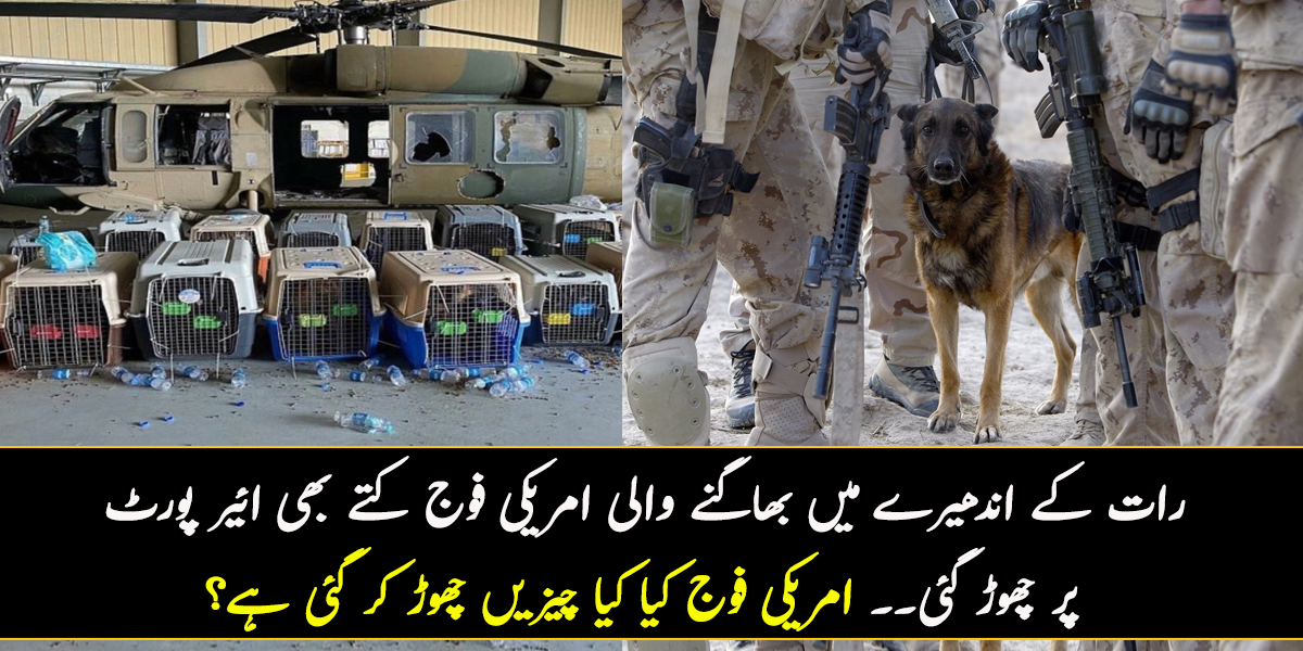 رات کے اندھیرے میں بھاگنے والی امریکی فوج کتے بھی ائیر پورٹ پر چھوڑ گئی۔۔ جانیے امریکی فوج کیا کیا چیزیں چھوڑ کر گئی ہے