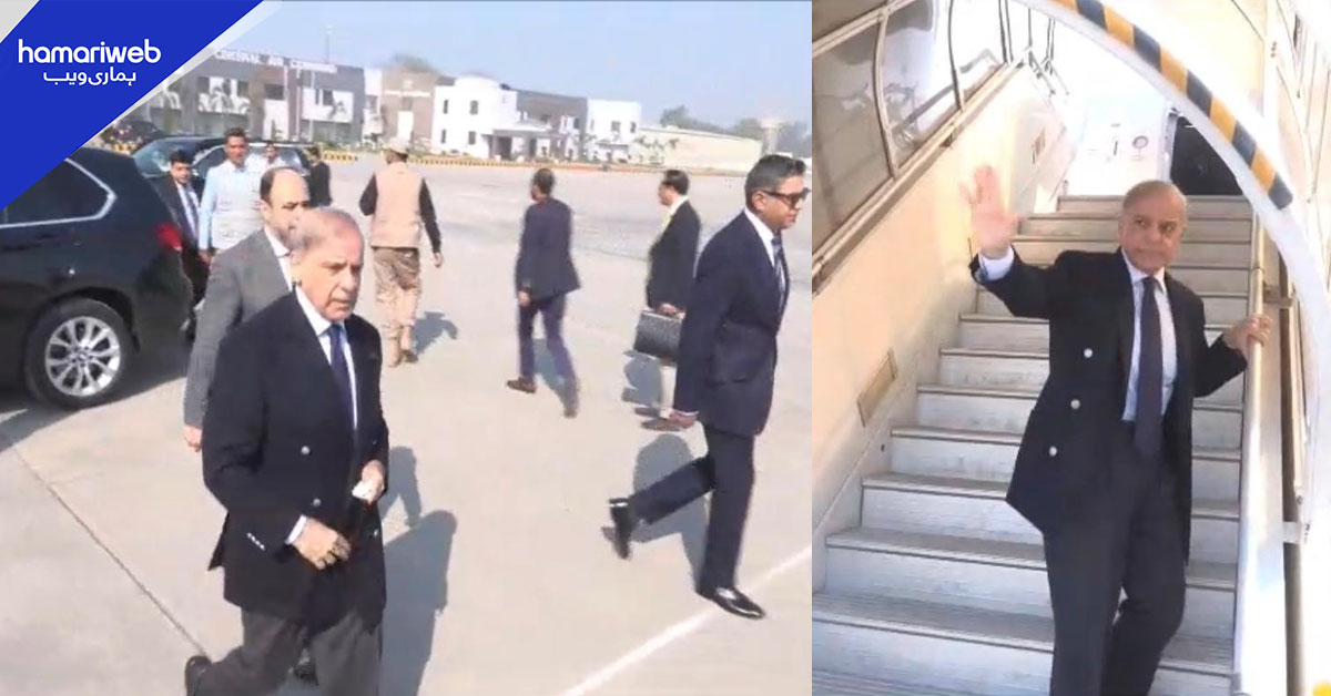 شہباز شریف کا آسٹریا کا سرکاری دورہ، 30 سال بعد کسی پاکستانی وزیراعظم کی ویانا آمد