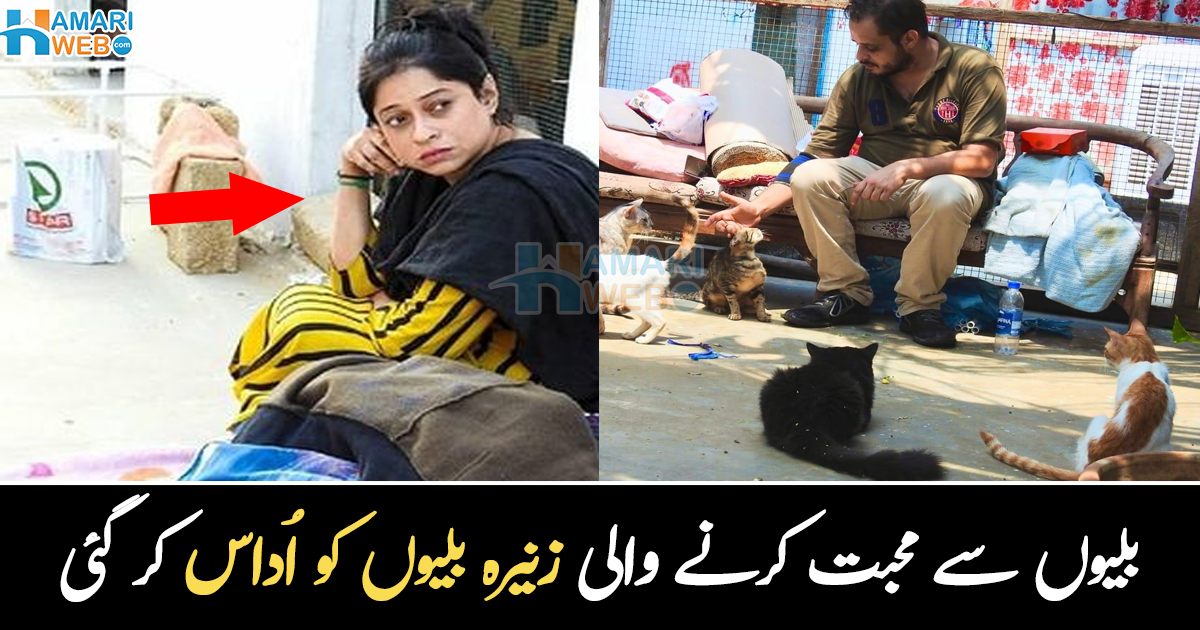 نماز عصر کے بعد جنازہ تھا، مگر گھر والوں کو پتہ ہی نہیں ۔۔ جانوروں سے محبت کرنے والی لڑکی، جس نے بلیوں کو اپنا خاندان بنا لیا