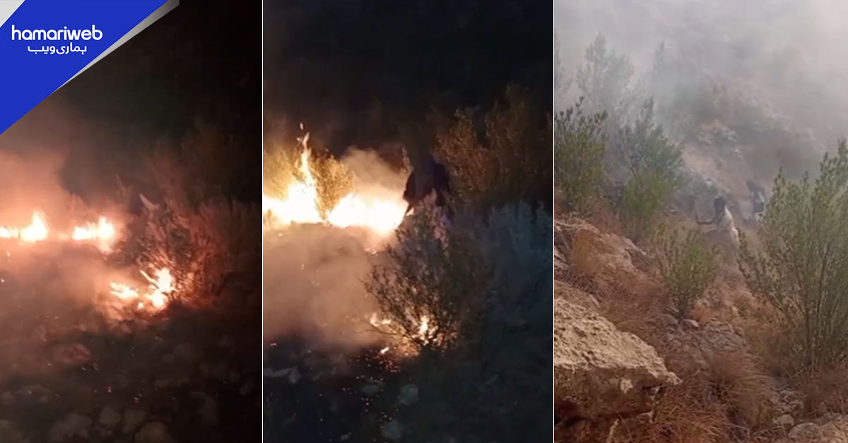 بلوچستان: کوہلو کے جاندران پہاڑی پر آگ بھڑک اٹھی، جنگلی حیات کو خطرہ