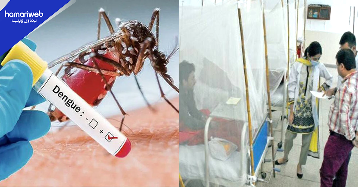 ڈینگی اور ملیریا کے مہنگے ٹیسٹ انتہائی سستے ہوگئے۔۔ جانیں نئی قیمتیں کیا ہیں؟