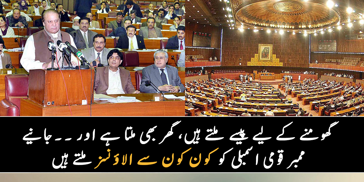 گھومنے کے لیے پیسے ملتے ہیں، گھر بھی ملتا ہے اور ۔۔ جانیے ممبر قومی اسمبلی کو تنخواہوں کے ساتھ کون کون سے الاؤنسز ملتے ہیں