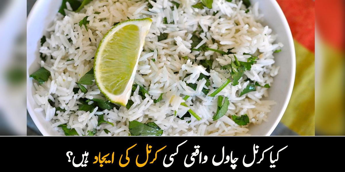 کیا کرنل چاول واقعی کسی کرنل کی ایجاد ہیں؟ جانیے خوشبودار کرنل چاول کی دلچسپ کہانی 