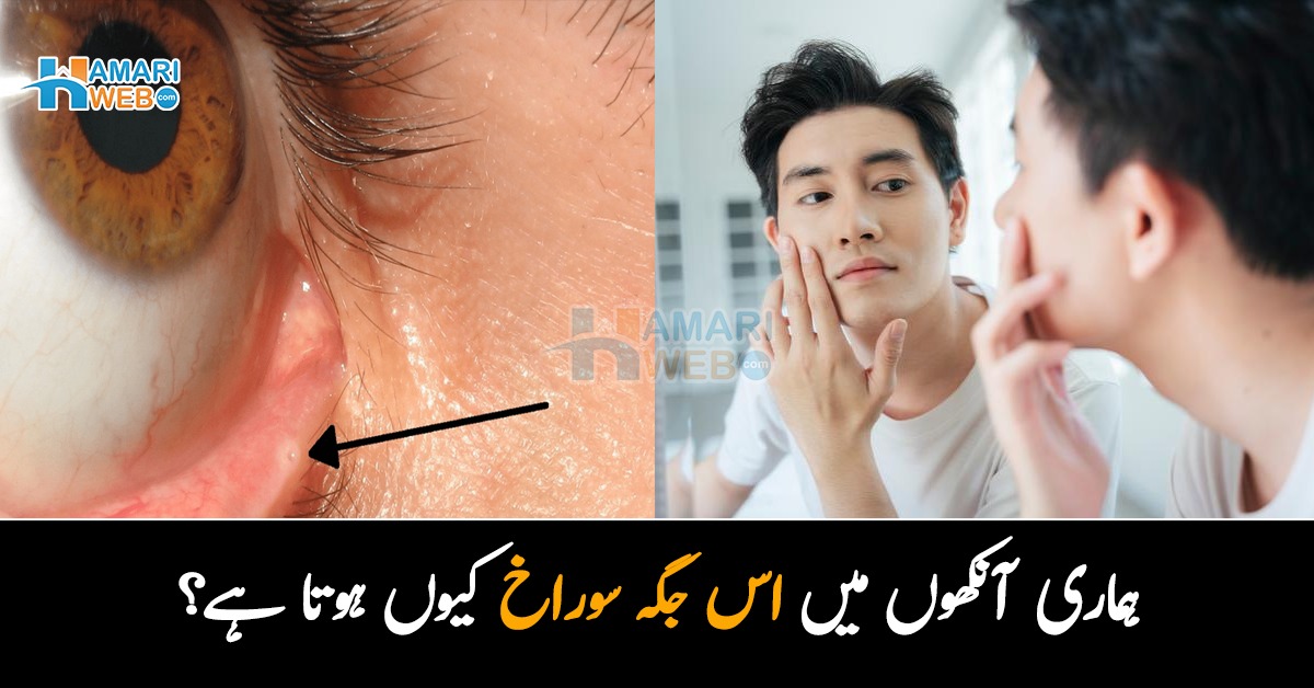 ہماری آنکھوں میں اس جگہ سوراخ کیوں ہوتا ہے؟ دلچسپ حقائق جن کے بارے میں بہت کم لوگ جانتے ہیں