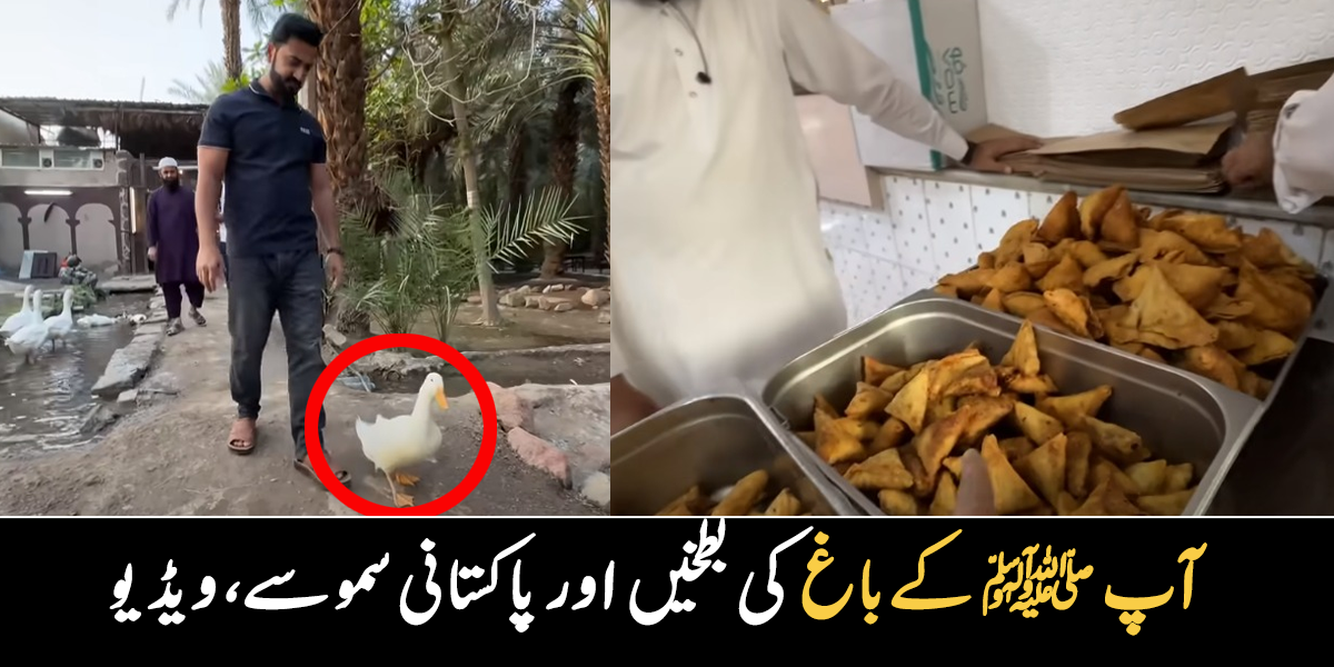 آپ ﷺ کے باغ میں پاکستانی سموسے، پکوڑے۔۔ مدینہ منورہ میں موجود آقائے دو جہاں ﷺ کا کھجوروں کا باغ، جو آج بھی اسی طرح موجود ہے، ویڈیو