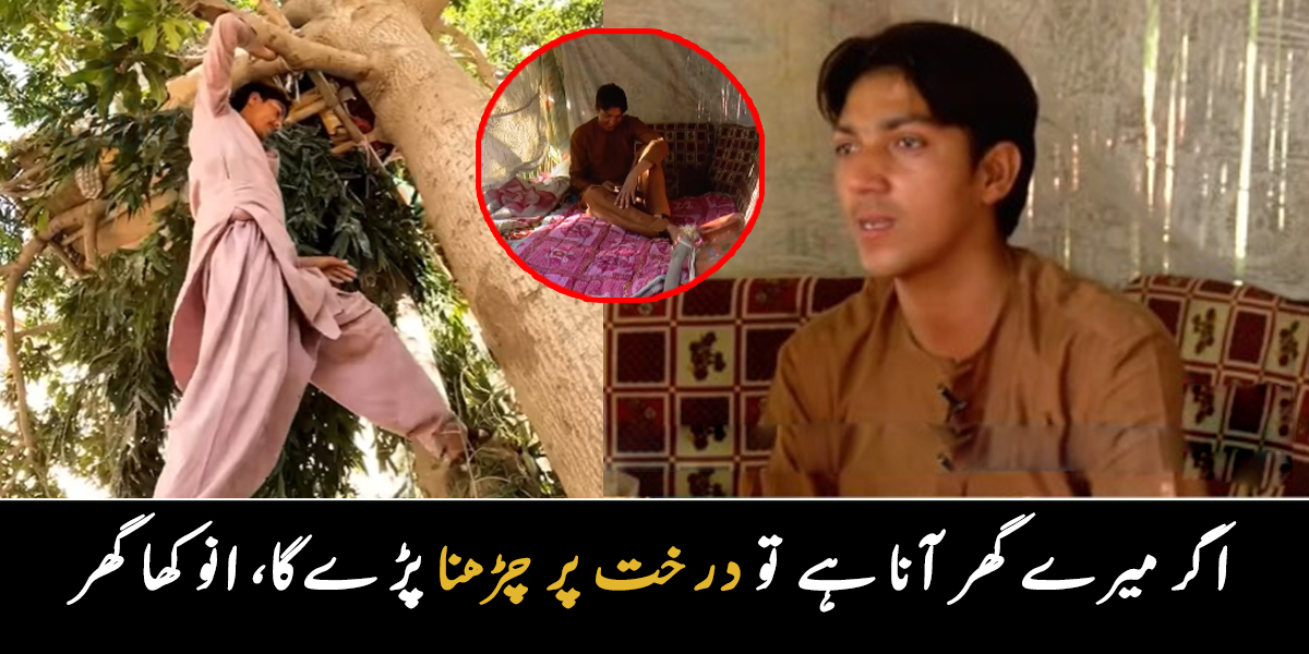 میرے گھر کے راستے میں کوئی سیڑھیاں نہیں ہیں، آنا ہے تو درختوں پر چڑھ کر پھر آنا ہوگا ۔۔ درخت پر گھر بنا کر رہنا والا شخص کون ہے جس کے گھر میں بجلی اور پانی بھی آتا ہے؟