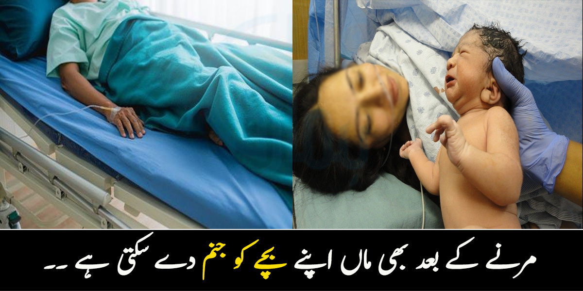 مرنے کے بعد بھی ماں اپنے بچے کو جنم دے سکتی ہے ۔۔ قدرت کے انوکھے نظام کے بارے میں سائنس کا دلچسپ انکشاف